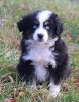 processed/85463533-51b4-46bc-8cfb-b0e505e776ad/listing/bb98c25d-3dd0-4cb6-8a8c-0f6216a18970/991f7311-da66-4057-9b4e-e6f19607555f