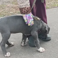 processed/85540df0-0b1a-4b1a-95fd-040c9c40f093/listing/183e6134-8971-4c8b-9a23-6d9b40dddf71/29abe9b3-0c9b-4602-9759-901d1409abda