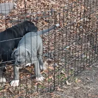 processed/85540df0-0b1a-4b1a-95fd-040c9c40f093/listing/183e6134-8971-4c8b-9a23-6d9b40dddf71/4e26739e-c294-43e7-9b8d-ac2d04c67d18