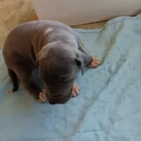 processed/85540df0-0b1a-4b1a-95fd-040c9c40f093/listing/183e6134-8971-4c8b-9a23-6d9b40dddf71/63b161dc-9511-4056-8c3a-311d7071a38f