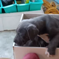 processed/85540df0-0b1a-4b1a-95fd-040c9c40f093/listing/183e6134-8971-4c8b-9a23-6d9b40dddf71/64a96b60-6e46-4123-a87f-f21f27d6c68c