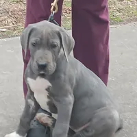 processed/85540df0-0b1a-4b1a-95fd-040c9c40f093/listing/183e6134-8971-4c8b-9a23-6d9b40dddf71/7926d886-065b-4ff1-915a-b8c3f14a35b4