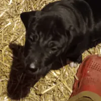 processed/85540df0-0b1a-4b1a-95fd-040c9c40f093/listing/411b3243-7821-4d95-b584-7095daf5bfc4/0133439a-0b7e-4759-ae8e-6672c60bb23d