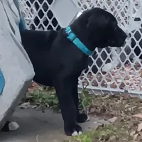 processed/85540df0-0b1a-4b1a-95fd-040c9c40f093/listing/411b3243-7821-4d95-b584-7095daf5bfc4/1ac5c4c6-ce9c-4031-a8db-defa2a9115cf