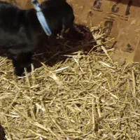 processed/85540df0-0b1a-4b1a-95fd-040c9c40f093/listing/411b3243-7821-4d95-b584-7095daf5bfc4/38cb2cfd-696d-4a03-903a-0e5f33594ca1