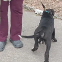 processed/85540df0-0b1a-4b1a-95fd-040c9c40f093/listing/411b3243-7821-4d95-b584-7095daf5bfc4/ad1d39dd-885d-48d1-b98d-d9cfe626973c