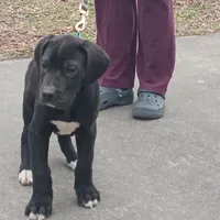 processed/85540df0-0b1a-4b1a-95fd-040c9c40f093/listing/411b3243-7821-4d95-b584-7095daf5bfc4/aeb172c9-eeb0-45af-8717-c0a50c778815