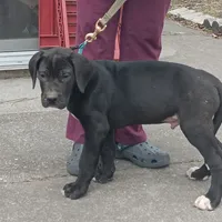 processed/85540df0-0b1a-4b1a-95fd-040c9c40f093/listing/411b3243-7821-4d95-b584-7095daf5bfc4/d3831a02-f420-4a23-9277-05c955aea1e5