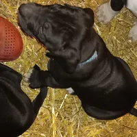 processed/85540df0-0b1a-4b1a-95fd-040c9c40f093/listing/411b3243-7821-4d95-b584-7095daf5bfc4/dfe1dec7-e471-4d5b-bd83-a9e13c6f2d91