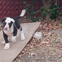 processed/85540df0-0b1a-4b1a-95fd-040c9c40f093/listing/86f35242-0fa0-456c-a5ec-5a08ffd48424/5c23cea3-1c05-4e4c-86a8-a7e4d33ca730