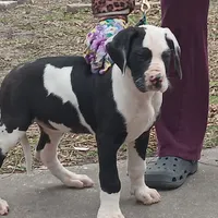 processed/85540df0-0b1a-4b1a-95fd-040c9c40f093/listing/86f35242-0fa0-456c-a5ec-5a08ffd48424/67ca58a3-3620-46e6-8bb9-5a5e8e49e198