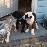 processed/85540df0-0b1a-4b1a-95fd-040c9c40f093/listing/86f35242-0fa0-456c-a5ec-5a08ffd48424/890491aa-10dc-4357-bbdd-69e5740cea2e