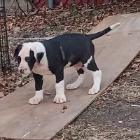 processed/85540df0-0b1a-4b1a-95fd-040c9c40f093/listing/86f35242-0fa0-456c-a5ec-5a08ffd48424/8c573000-476d-4a5e-81fd-9afcc18af589