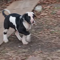 processed/85540df0-0b1a-4b1a-95fd-040c9c40f093/listing/86f35242-0fa0-456c-a5ec-5a08ffd48424/9deeab2b-35df-43ea-887d-59b3d664bdd2