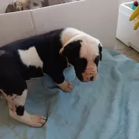 processed/85540df0-0b1a-4b1a-95fd-040c9c40f093/listing/86f35242-0fa0-456c-a5ec-5a08ffd48424/d1658421-b515-4777-80ce-471c88923ceb