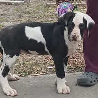 processed/85540df0-0b1a-4b1a-95fd-040c9c40f093/listing/86f35242-0fa0-456c-a5ec-5a08ffd48424/dd4286d7-7911-4d6f-8e23-fcd0b271bed7