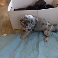 processed/85540df0-0b1a-4b1a-95fd-040c9c40f093/listing/9e4d0a7e-1fc2-40ab-a2c5-4b3008f0ef1c/1b6abadf-ed20-4c5f-9830-d8755bd431a1