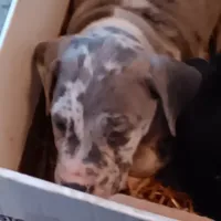 processed/85540df0-0b1a-4b1a-95fd-040c9c40f093/listing/9e4d0a7e-1fc2-40ab-a2c5-4b3008f0ef1c/554617b7-08fa-4abb-8fdf-5a2f70011168