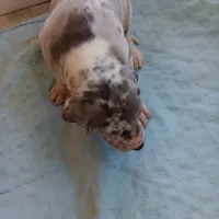 processed/85540df0-0b1a-4b1a-95fd-040c9c40f093/listing/9e4d0a7e-1fc2-40ab-a2c5-4b3008f0ef1c/582bb3aa-a81d-4ab3-94ff-de4d446a3637