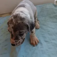 processed/85540df0-0b1a-4b1a-95fd-040c9c40f093/listing/9e4d0a7e-1fc2-40ab-a2c5-4b3008f0ef1c/8ae557ab-3da5-4162-b9bc-a6149eb63b8a