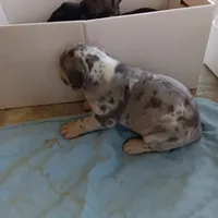 processed/85540df0-0b1a-4b1a-95fd-040c9c40f093/listing/9e4d0a7e-1fc2-40ab-a2c5-4b3008f0ef1c/a3b0e401-b700-4e8d-9c82-be1db2ffdc65