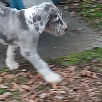 processed/85540df0-0b1a-4b1a-95fd-040c9c40f093/listing/9e4d0a7e-1fc2-40ab-a2c5-4b3008f0ef1c/a8bfb3f7-fd8d-4db1-9553-361296d0afd4