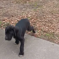 processed/85540df0-0b1a-4b1a-95fd-040c9c40f093/listing/ba67b7ea-a305-43f5-9f61-3b7c82c22981/0af8524a-91c5-4568-91c2-a042c83ff00b