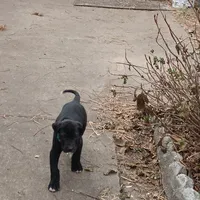 processed/85540df0-0b1a-4b1a-95fd-040c9c40f093/listing/ba67b7ea-a305-43f5-9f61-3b7c82c22981/18c5da63-576f-4193-87b8-e23a16fedcb9