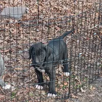 processed/85540df0-0b1a-4b1a-95fd-040c9c40f093/listing/ba67b7ea-a305-43f5-9f61-3b7c82c22981/2e9a415e-47e5-4905-a411-9c54dce0ba28