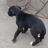 processed/85540df0-0b1a-4b1a-95fd-040c9c40f093/listing/ba67b7ea-a305-43f5-9f61-3b7c82c22981/3b524e9a-9a58-45f0-9820-be48c68bc325