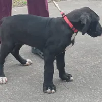 processed/85540df0-0b1a-4b1a-95fd-040c9c40f093/listing/ba67b7ea-a305-43f5-9f61-3b7c82c22981/500d807e-5a88-4076-badf-9ebed7d8b38d