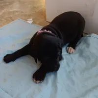 processed/85540df0-0b1a-4b1a-95fd-040c9c40f093/listing/ba67b7ea-a305-43f5-9f61-3b7c82c22981/5c9fef1a-5bf6-48ea-ab4a-a18cc582ff81