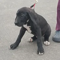 processed/85540df0-0b1a-4b1a-95fd-040c9c40f093/listing/ba67b7ea-a305-43f5-9f61-3b7c82c22981/8eb67b12-af9b-4d73-ba44-8947ce12b06c