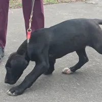 processed/85540df0-0b1a-4b1a-95fd-040c9c40f093/listing/ba67b7ea-a305-43f5-9f61-3b7c82c22981/a2cf296e-1185-44c2-b469-9ff5f53b0865