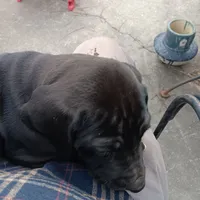 processed/85540df0-0b1a-4b1a-95fd-040c9c40f093/listing/ba67b7ea-a305-43f5-9f61-3b7c82c22981/ce51ee37-1947-4ccc-b574-9e17a5814c4d