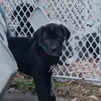 processed/85540df0-0b1a-4b1a-95fd-040c9c40f093/listing/bc0567fd-1054-4549-8bbb-76bd98ec69f3/03e08031-84d2-450b-bd47-37d30beb4d1e