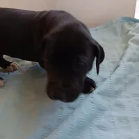 processed/85540df0-0b1a-4b1a-95fd-040c9c40f093/listing/bc0567fd-1054-4549-8bbb-76bd98ec69f3/2ee91821-353d-4078-aefb-ce9760730aaf