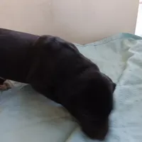 processed/85540df0-0b1a-4b1a-95fd-040c9c40f093/listing/bc0567fd-1054-4549-8bbb-76bd98ec69f3/56ed3065-188c-4bd4-8f4e-742c8ab03d94