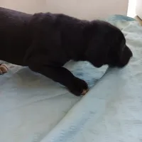 processed/85540df0-0b1a-4b1a-95fd-040c9c40f093/listing/bc0567fd-1054-4549-8bbb-76bd98ec69f3/8ad3b35e-4528-46c9-9de7-722281b37b06