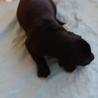 processed/85540df0-0b1a-4b1a-95fd-040c9c40f093/listing/bc0567fd-1054-4549-8bbb-76bd98ec69f3/af0e4848-fb4e-458b-a422-fd8780077c04