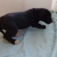 processed/85540df0-0b1a-4b1a-95fd-040c9c40f093/listing/bc0567fd-1054-4549-8bbb-76bd98ec69f3/ba4373d1-2923-4616-9f8b-0fef724ee137