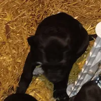 processed/85540df0-0b1a-4b1a-95fd-040c9c40f093/listing/bc0567fd-1054-4549-8bbb-76bd98ec69f3/e053dc63-22b0-4c90-8afd-584b1240cddd