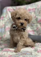 processed/8559f838-76f9-4326-af81-502b912478eb/listing/3589d69a-880d-4e5b-81cc-9d6ac418fa25/46854c5a-69a8-40de-99e1-3dbde2b9d067