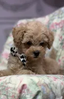 processed/8559f838-76f9-4326-af81-502b912478eb/listing/3589d69a-880d-4e5b-81cc-9d6ac418fa25/4a72b1e8-d883-430e-abf0-ed2bbb250de7