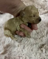 processed/8559f838-76f9-4326-af81-502b912478eb/listing/3589d69a-880d-4e5b-81cc-9d6ac418fa25/5ba8a603-8402-423a-84e2-69bc5adcfbc2