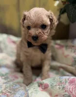 processed/8559f838-76f9-4326-af81-502b912478eb/listing/3589d69a-880d-4e5b-81cc-9d6ac418fa25/ce700174-ee52-4711-a53e-1841ebc19ab9