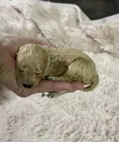 processed/8559f838-76f9-4326-af81-502b912478eb/listing/3589d69a-880d-4e5b-81cc-9d6ac418fa25/de44e241-1999-45a6-aa6b-257e34ab66a2