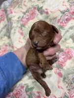 processed/8559f838-76f9-4326-af81-502b912478eb/listing/39591d60-af64-464e-8871-4ca8eb68509d/6227a077-402b-45a7-8bd8-1ac3df3a141b