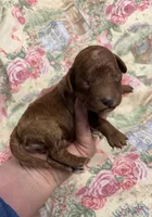 processed/8559f838-76f9-4326-af81-502b912478eb/listing/39591d60-af64-464e-8871-4ca8eb68509d/b1bf2ef0-ad99-4acb-ae9c-ed792d1bbc6b