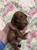 processed/8559f838-76f9-4326-af81-502b912478eb/listing/39591d60-af64-464e-8871-4ca8eb68509d/b5ff3c81-feb8-4437-ab59-d73dfef8108a